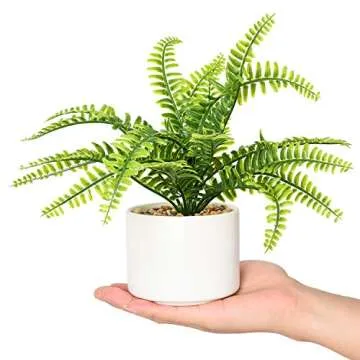 Lvydec Artificial Succulent Plants - Fake Fern Plant with a Ceramic Pot for Home Bath Office Shelf Decoration (Boston Fern)