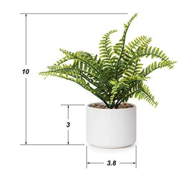 Lvydec Artificial Succulent Plants - Fake Fern Plant with a Ceramic Pot for Home Bath Office Shelf Decoration (Boston Fern)