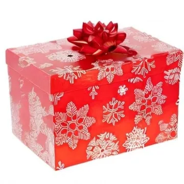 HoHoHoH2O Automatic Tree Watering System for Healthy Trees