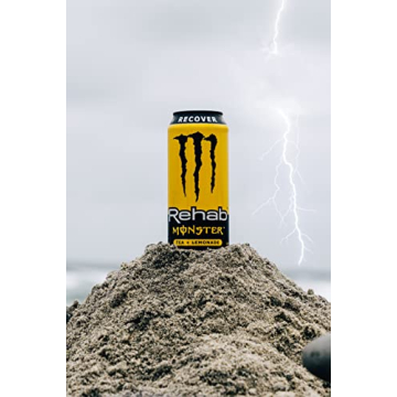 Monster Energy Rehab Tea + Lemonade 15-Pack Refreshment