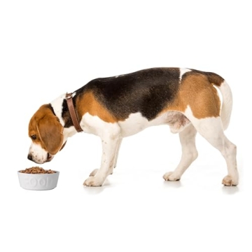 PetRageous Dog Bowl: Stylish, Microwave-Safe, 2.5 Cup Capacity