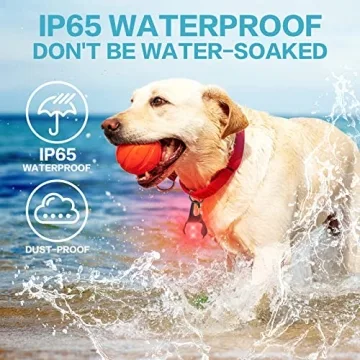 Rechargeable Waterproof Dog Collar Lights – 60 Lumens