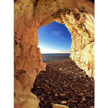 olloclip 4-IN-1 Lens for iPhone 6/6s and 6/6s Plus - Versatile Photography Tool