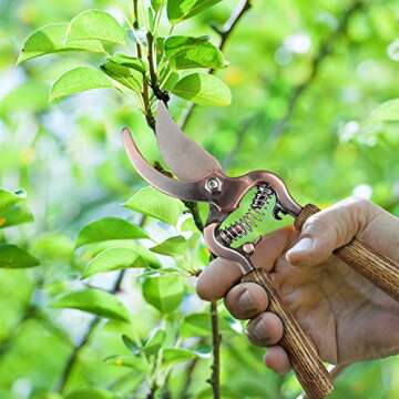 Stylish Gardening Tools Set with Watering Can & Tote