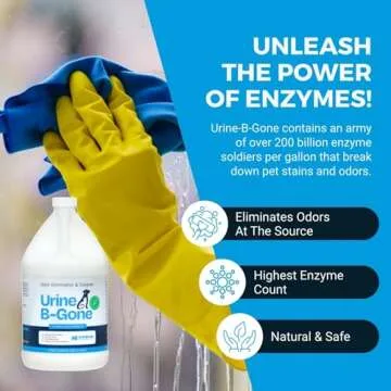 KINZUA ENVIRONMENTAL Urine B-Gone, Professional Enzyme Odor Eliminator & Pet Stain Remover, Human, Cat & Dog Urine Cleaner, Effective on Laundry, Carpets & More, Original Scent, 1 Gallon