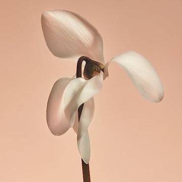 PHLUR Missing Person Candle - Floral Musk Delight - 70+ Hours Burn