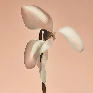 PHLUR Missing Person Candle - Floral Musk Delight - 70+ Hours Burn