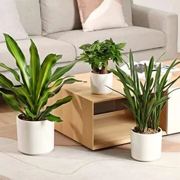 FOPAMTRI High-Quality Ceramic Planters Set of 3