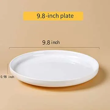 QFULL 9.8 Inch Ceramic Dinner Plates Set of 6 - Elegant & Durable