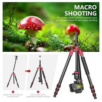 Neewer 66 inches/168 centimeters Carbon Fiber Camera Tripod Monopod with 360 Degree Ball Head, 1/4 i...