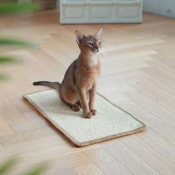 FUKUMARU Cat Scratcher Mat, 19.6 X 11.8 Inch Natural Sisal Cat Scratch Mats, Horizontal Cat Floor Scratching Pad Rug, Protect Carpets and Sofas - Beige