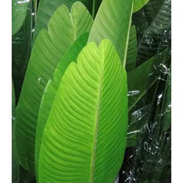 One 5' Artificial Silk Bird of Paradise Palm Banana Tree Potted Indoor Outdoor Travelers 60 Inch