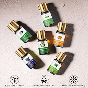 Essential Oils Set, 100% Organic Essential Oil, Lavender, Ylang Ylang, Tea Tree, Eucalyptus Scented ...