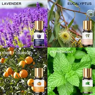 Essential Oils Set, 100% Organic Essential Oil, Lavender, Ylang Ylang, Tea Tree, Eucalyptus Scented Oil, Essential Oils for Diffusers for Home, Candle Making, Humidifiers (8)