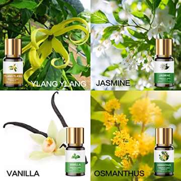 Essential Oils Set, 100% Organic Essential Oil, Lavender, Ylang Ylang, Tea Tree, Eucalyptus Scented Oil, Essential Oils for Diffusers for Home, Candle Making, Humidifiers (8)