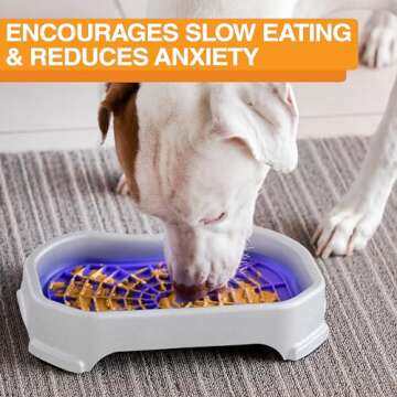 Neater Pets - Neat-LIK with Protective Tray - Slow Feed Pad for Dogs & Cats - Provides Boredom & Anx...