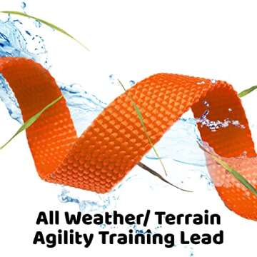 Downtown Pet Supply - Long Dog Leash - Dog Training Leash - Recall & Obedience Dog Training Tools - Nylon - 30 ft - Orange Dog Leash