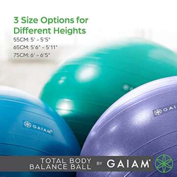 Gaiam 05-52205 Total Body Balance Ball Kit - Includes 75cm Anti-Burst Stability Exercise Yoga Ball, Air Pump & Workout Video, For adults - Blue