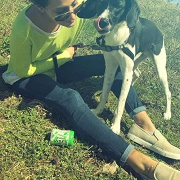 Trident Vibes Spearmint Sugar Free Gum - 160 Pieces