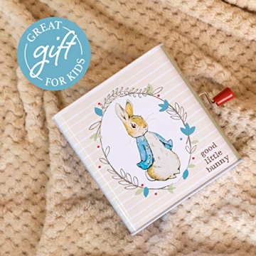 Beatrix Potter Peter Rabbit Jack-in-The-Box Classic Toy