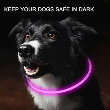 Novkin 2-Pack LED Dog Collar – Rechargeable Lights for Safe Night Walking