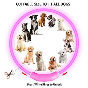 Novkin LED Dog Collars Perfect for Nighttime Safety 2-Pack