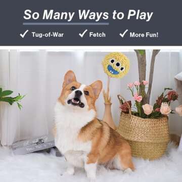 HugSmart Spiky Monster Dog Balls - Durable Squeaky Toy