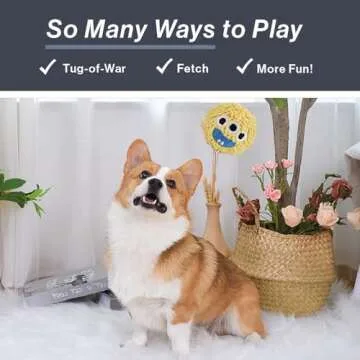 HugSmart Spiky Monster Dog Balls - Durable Squeaky Toy