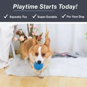 HugSmart Spiky Monster Dog Balls - Durable Squeaky Toy