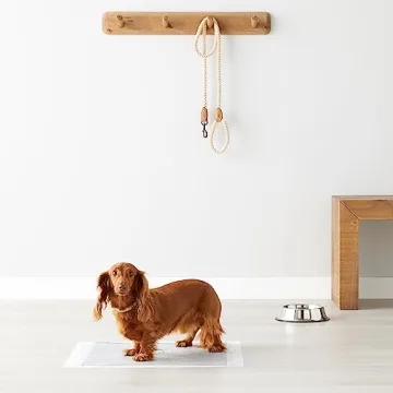 Amazon Basics Puppy Training Pads, Odor Control, Leak-Proof