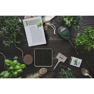 Herb Garden Growing Kit - Complete Kit - Easily Grow 4 Indoor Herbs from Seeds (Basil, Cilantro, Chives & Parsley) & Comprehensive Guide - Unique Gardening Gifts for Women & Men : Plant Starter Kit