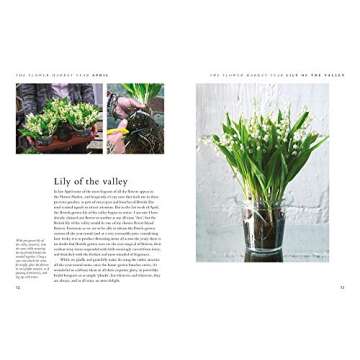 The Flower Market Year: 12 Months at New Covent Garden Flower Market