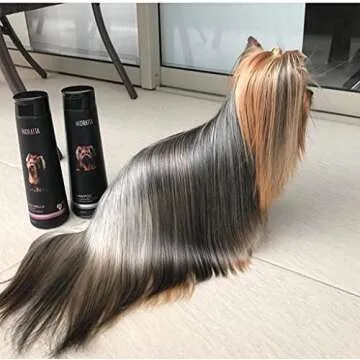 Hidratta Shampoo & Conditioner - Nourish Your Dog's Coat