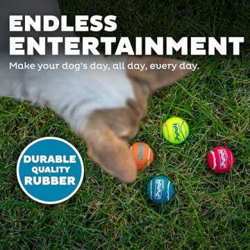 Outward Hound Squeaker Ballz Fetch Dog Toy, XS, 8-Pack