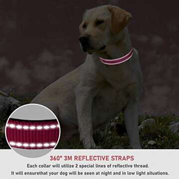 Reflective Dog Collar - Adjustable Safety Design for All Sizes