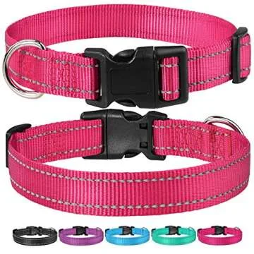 Reflective Dog Collar - Adjustable Safety Design for All Sizes
