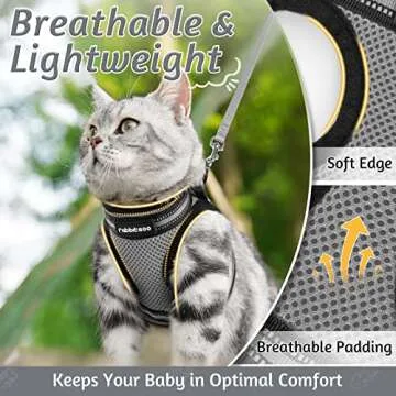 rabbitgoo Cat Harness and Leash Set for Walking Escape Proof, Adjustable Soft Kittens Vest with Reflective Strip for Cats, Comfortable Outdoor Vest, Grey, S