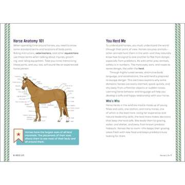 Horse Life: The Ultimate Guide for Young Riders