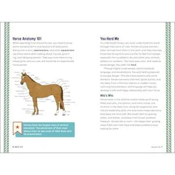Horse Life: The Ultimate Guide for Young Riders