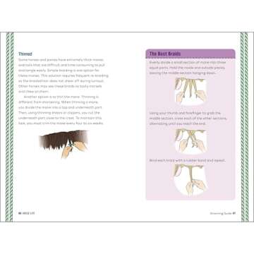 Horse Life: The Ultimate Guide for Young Riders