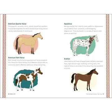 Horse Life: The Ultimate Guide for Young Riders