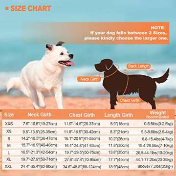 EMUST Dog Life Preserver, Dog Flotation Vest for Swimming, Beach Boating with High Buoyancy, Dog Flotation Vest for Small/Medium/Large Dogs, Orange, M