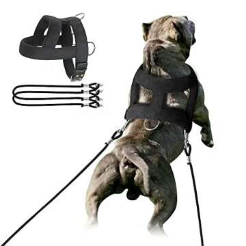 Forestpaw Heavy Duty Dog Harness for Training,Dog Harness Tactical with 3 Metal Rings,Soft Padded Dog Sled Harness for Medium Large Dogs,Black,M