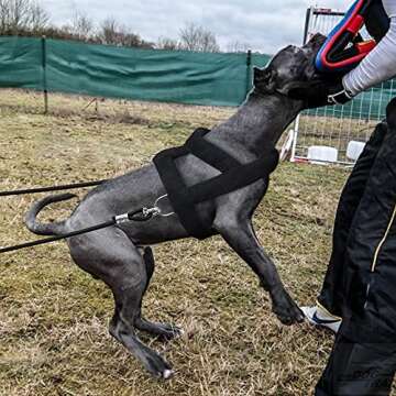 Forestpaw Heavy Duty Dog Harness for Training,Dog Harness Tactical with 3 Metal Rings,Soft Padded Dog Sled Harness for Medium Large Dogs,Black,M