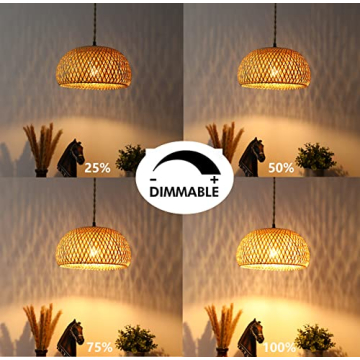 Stylish Plug-in Pendant Light with Dimmable Switch