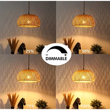 Stylish Plug-in Pendant Light with Dimmable Switch