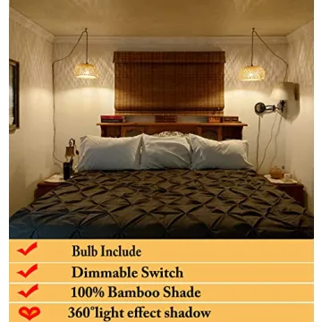 Stylish Plug-in Pendant Light with Dimmable Switch