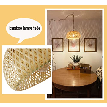 Stylish Plug-in Pendant Light with Dimmable Switch