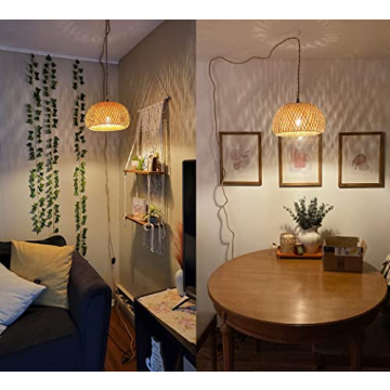 Stylish Plug-in Pendant Light with Dimmable Switch