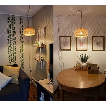 Stylish Plug-in Pendant Light with Dimmable Switch